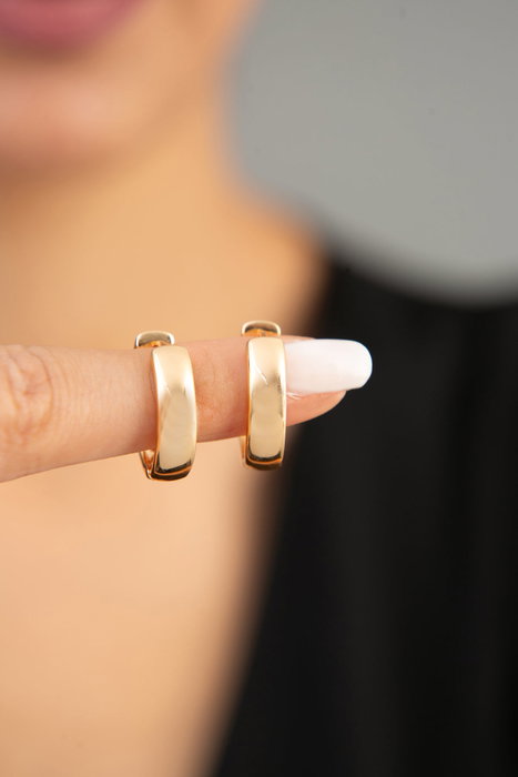 Heliophilia Silver Pendientes de Metal Dorados con Circón